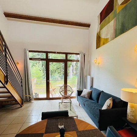 Апартаменти "Les Oiseaux" Avec Terrasse, Parking, Duplex Ле-Шамбон-сюр-Ліньон Екстер'єр фото