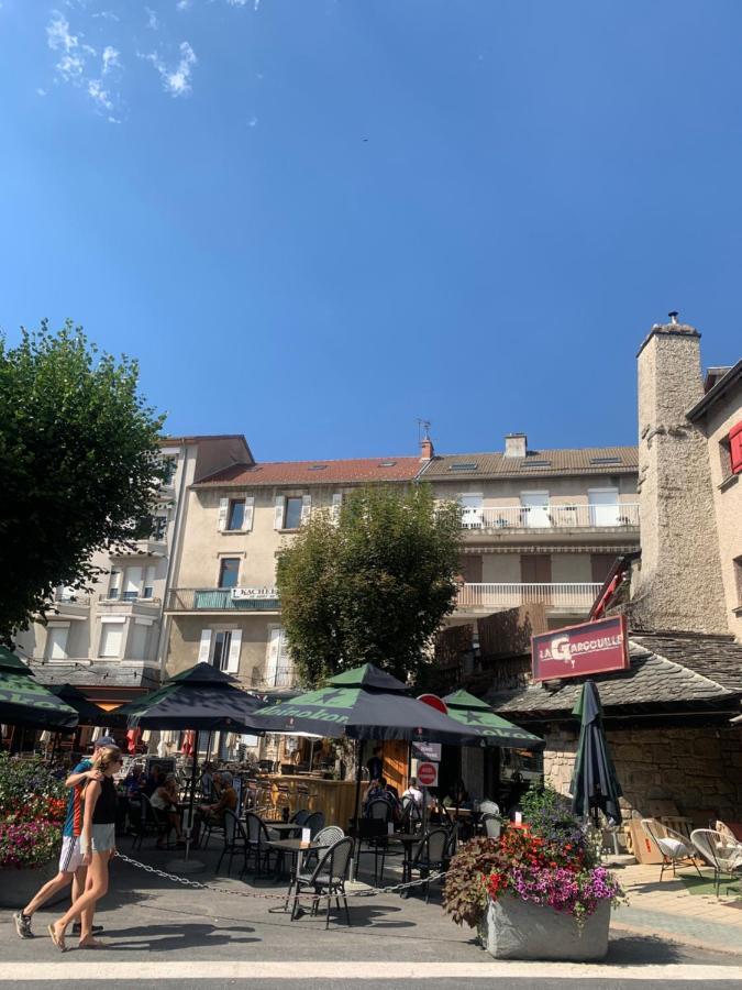 Апартаменти "Les Oiseaux" Avec Terrasse, Parking, Duplex Ле-Шамбон-сюр-Ліньон Екстер'єр фото